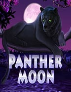 สัมผัสความสนุกกับ pussy สล็อต ทดลองเล่น